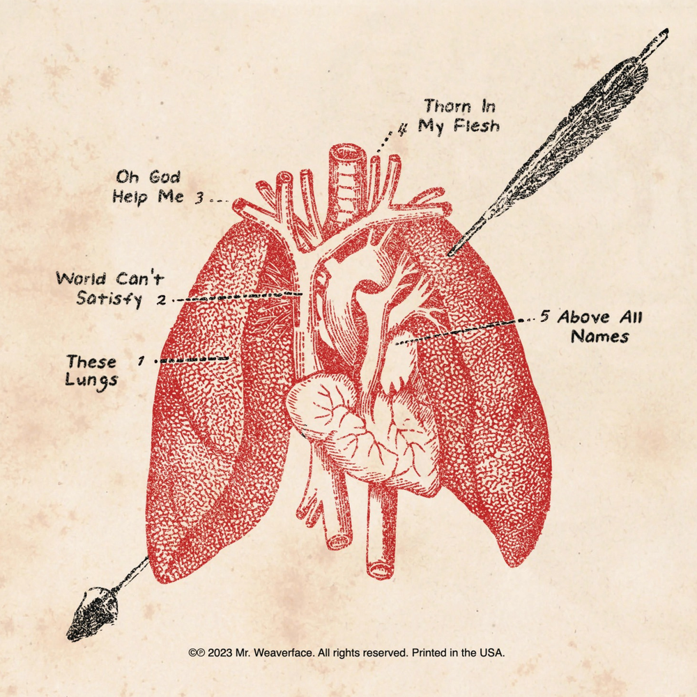 【匿名配送】WAKAZAEMON/LUNG These Lungs EP CD — Mr. Weaverface - Christian Rock Music